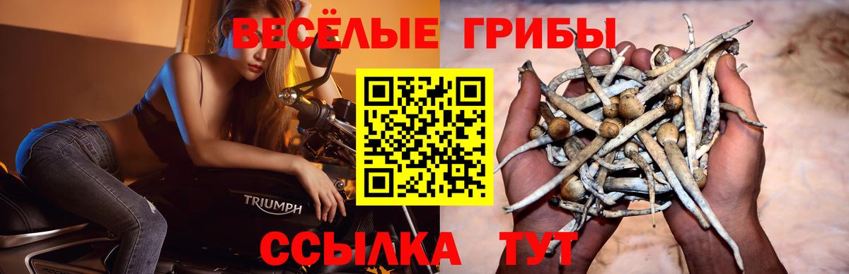 Псилоцибиновые грибы Magic Shrooms Гусь-Хрустальный