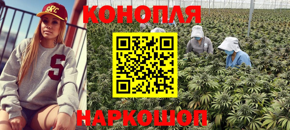 Конопля Ganja Гусь-Хрустальный